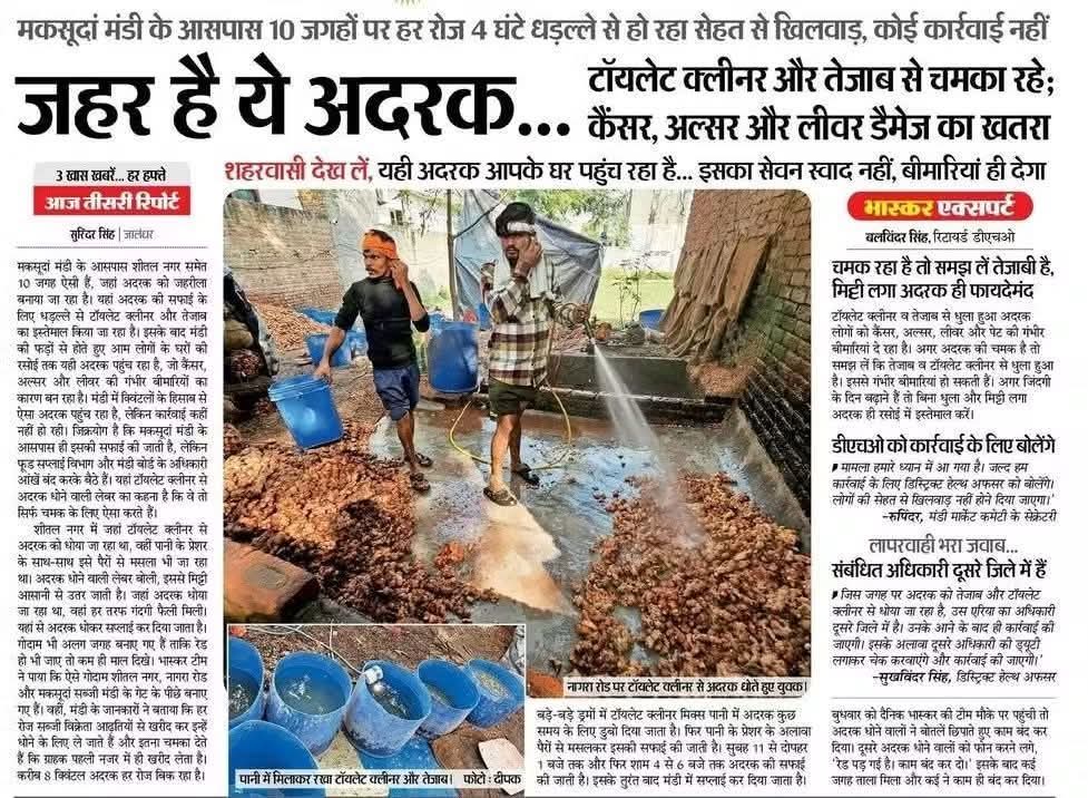 शहरी लोग केवल बाहरी सौन्दर्य पसंद करते हैं।
लीजिए बाहरी रूप से सुंदर अदरक और साथ में कैंसर, लीवर की बीमारी।