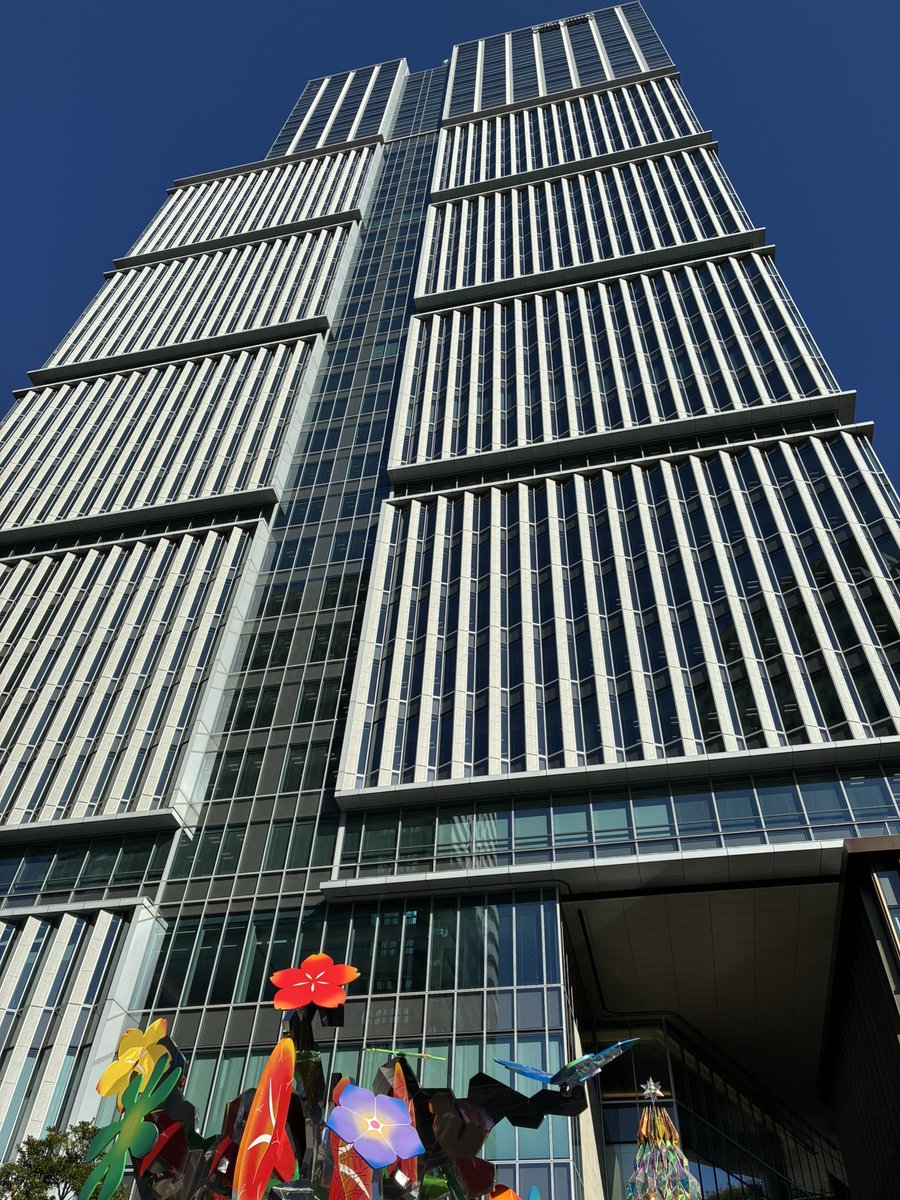 Wildkatze tweet media