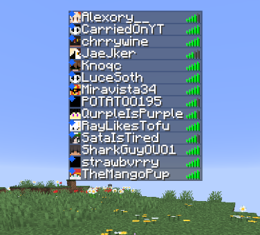 what is candidate smp even about