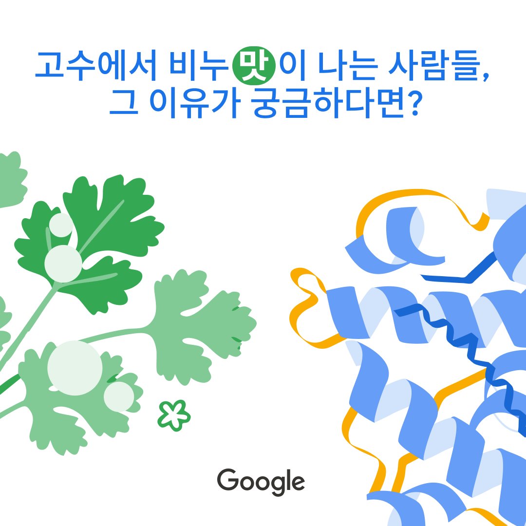 고수에서 비누 맛이 나는 사람들, 그 이유가 궁금하다면?

이것은 "훌륭한 미각"의 문제가 아닙니다. 코와 입에 있는 단백질 수용체에 달려 있습니다. (유전자에 의해 결정되는) 그 수용체의 모양이 무언가가 신선하고 톡 쏘는지... 아니면 그냥 역겨운지를 뇌에 알려줍니다. 맛은 말 그대로 단백질