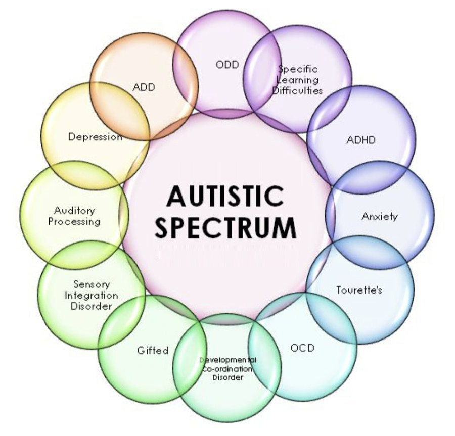 No Nonsense Neurodivergent (@nononsensend) on Twitter photo 