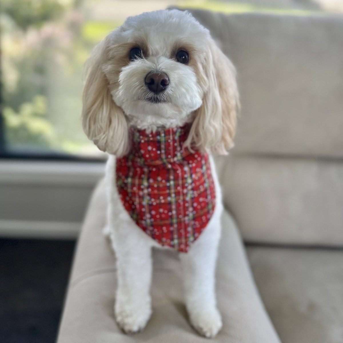 Lainey 🌻 tweet media