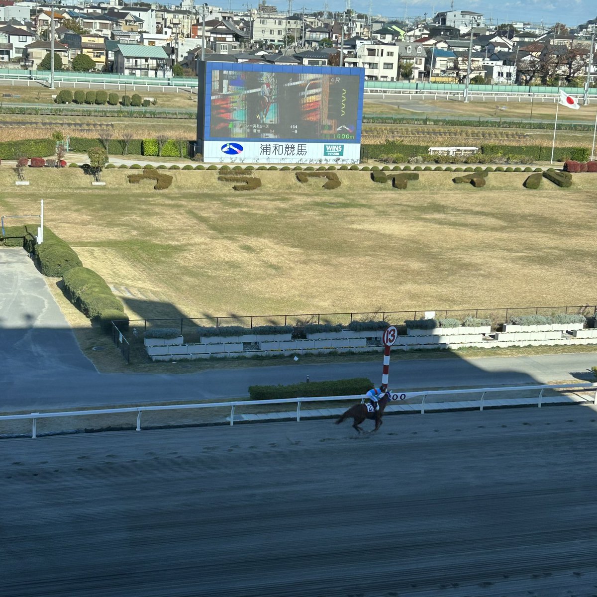 tsuchi (@tsuchi777) / Posts / X