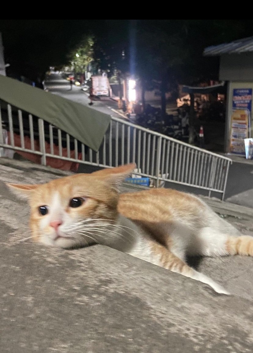 odeiojs's tweet image. damn 
i would kill for a cuddle rn while watching dr house or something like the office idk