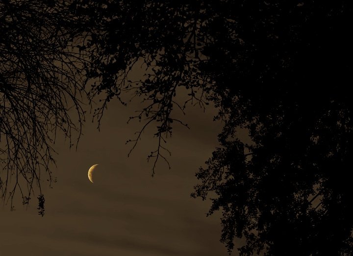 jessaricc's tweet image. “I love the silent hour of night, for blissful dreams may then arise, revealing to my charmed sight. What may not bless my waking eyes.&quot;
    — Anne Brontë