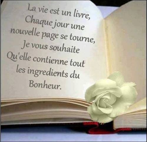 DVanOnacker's tweet image. Douce journée à vous, à nous, à toi, à moi… 📖
#citation  #bonheur