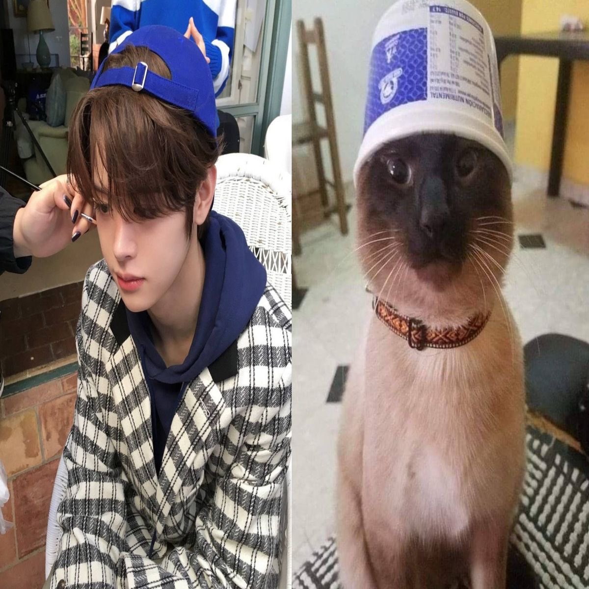 mynn1eyoung's tweet image. ไหนมา  #จะทำความรู้จักกับcloserที่มารีทวิต