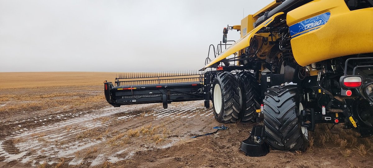 John Davey tweet media