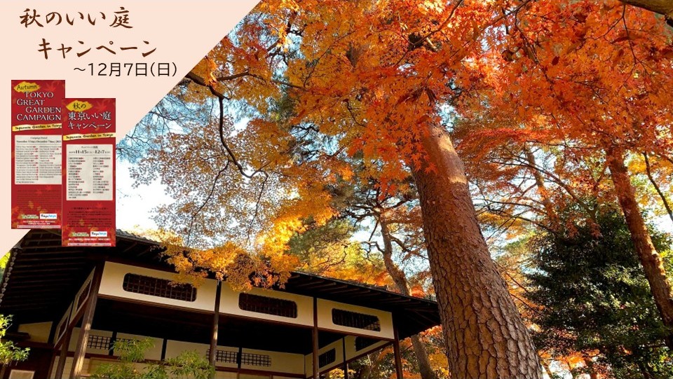 ParksTeien's tweet photo. 本日はいい庭（11/28）の日！
都立・国公立・民間の日本庭園が掲載されたリーフレット📕を庭園でご提示いただくと、ノベルティをプレゼントします🎁　～12/7日
【対象庭園】 #浜離宮恩賜庭園 #旧芝離宮恩賜庭園 #小石川後楽園 #六義園 #旧岩崎邸庭園 #向島百花園 #清澄庭園 #旧古河庭園 #殿ヶ谷戸庭園 https://t.co/BcYYV1rWZ6