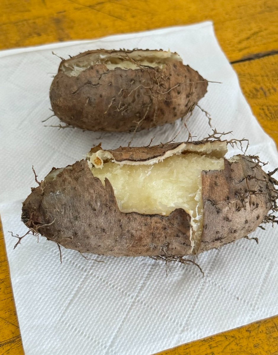 蒹葭（互fo🇨🇳必回💞） tweet media