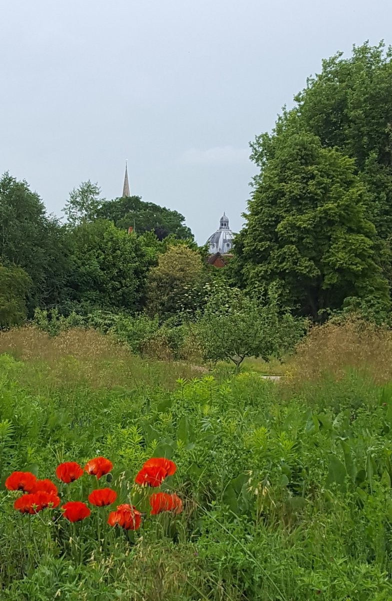 GabyLynch9's tweet image. O is for Oxford #AlphabetChallenge #WeekVForVowels 😊