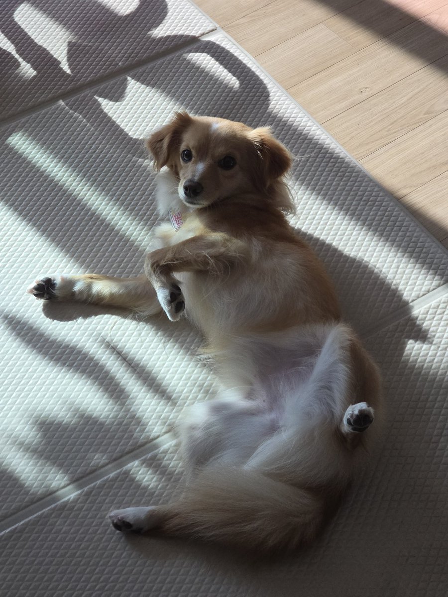 와서 날 만지거라