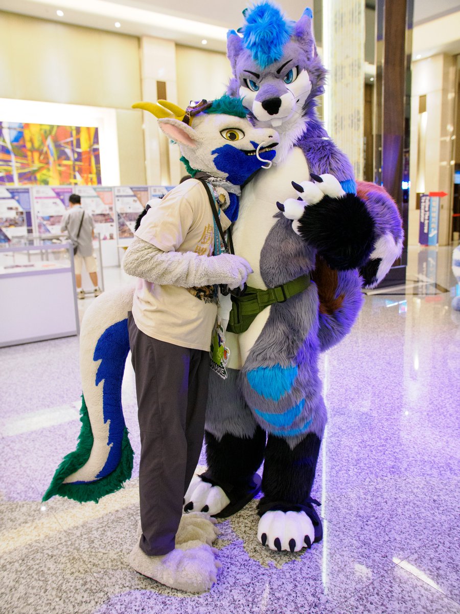 高高親親·~
Tall nuzzles~
📷: <a href="/HappyMiDog/">MiDog 米狗</a> 
#FursuitFriday #infurnity2025