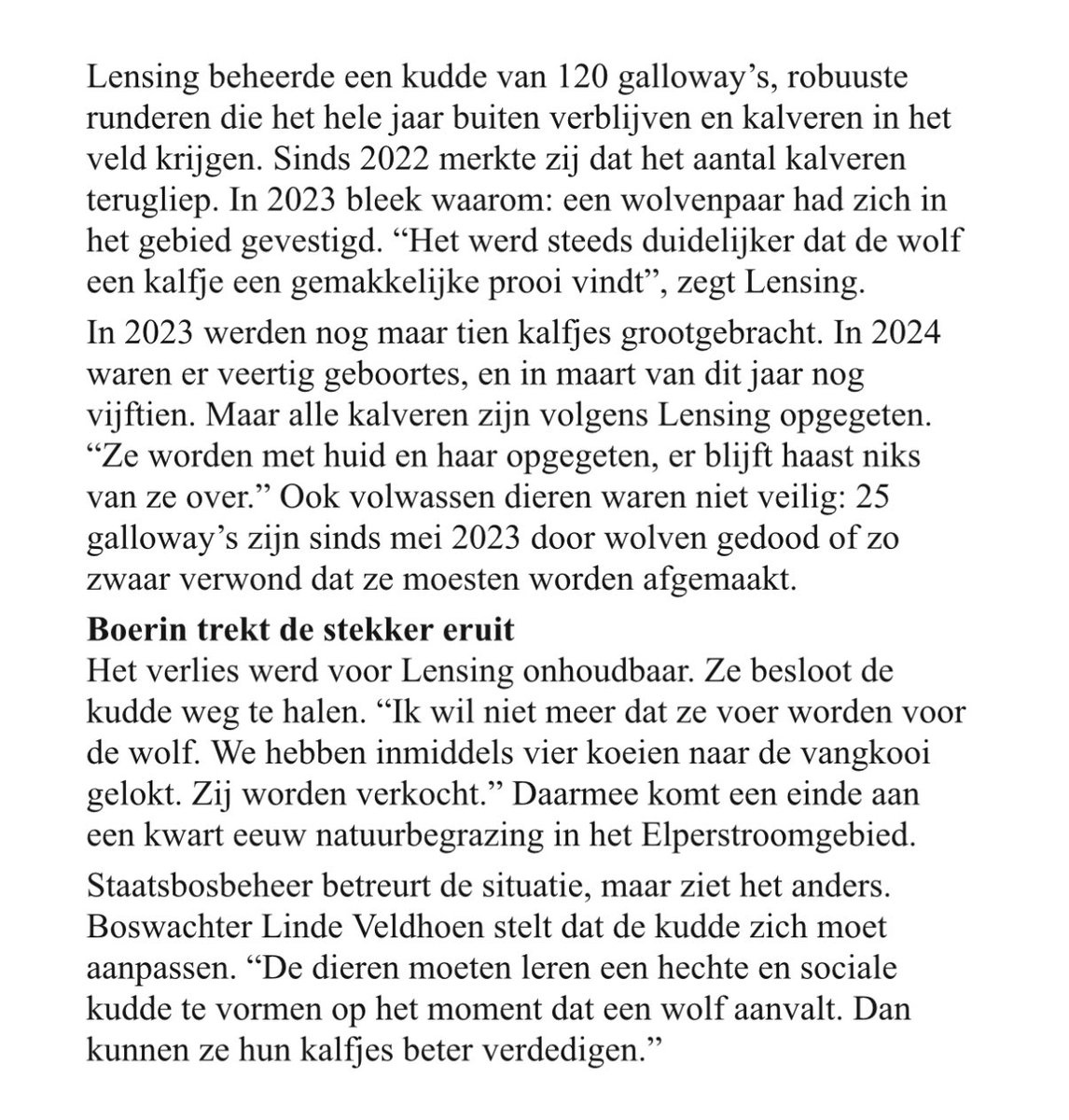 Dit is de realiteit van vandaag! 
Een boerin in Drenthe verliest in korte tijd bijna haar hele kudde - 25 jaar natuurbeheer kapotgemaakt. En ondertussen worden incidenten weggemoffeld en wordt faunaschade omlaag gecalculeerd.

Mensen moeten zwijgen. De wolf krijgt alle ruimte.