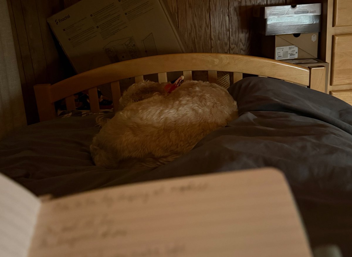 heres poem (10/7) of writing a poem every day. happy thanksgiving to everyone who celebrates it. im thankful for my friends and my little puppy