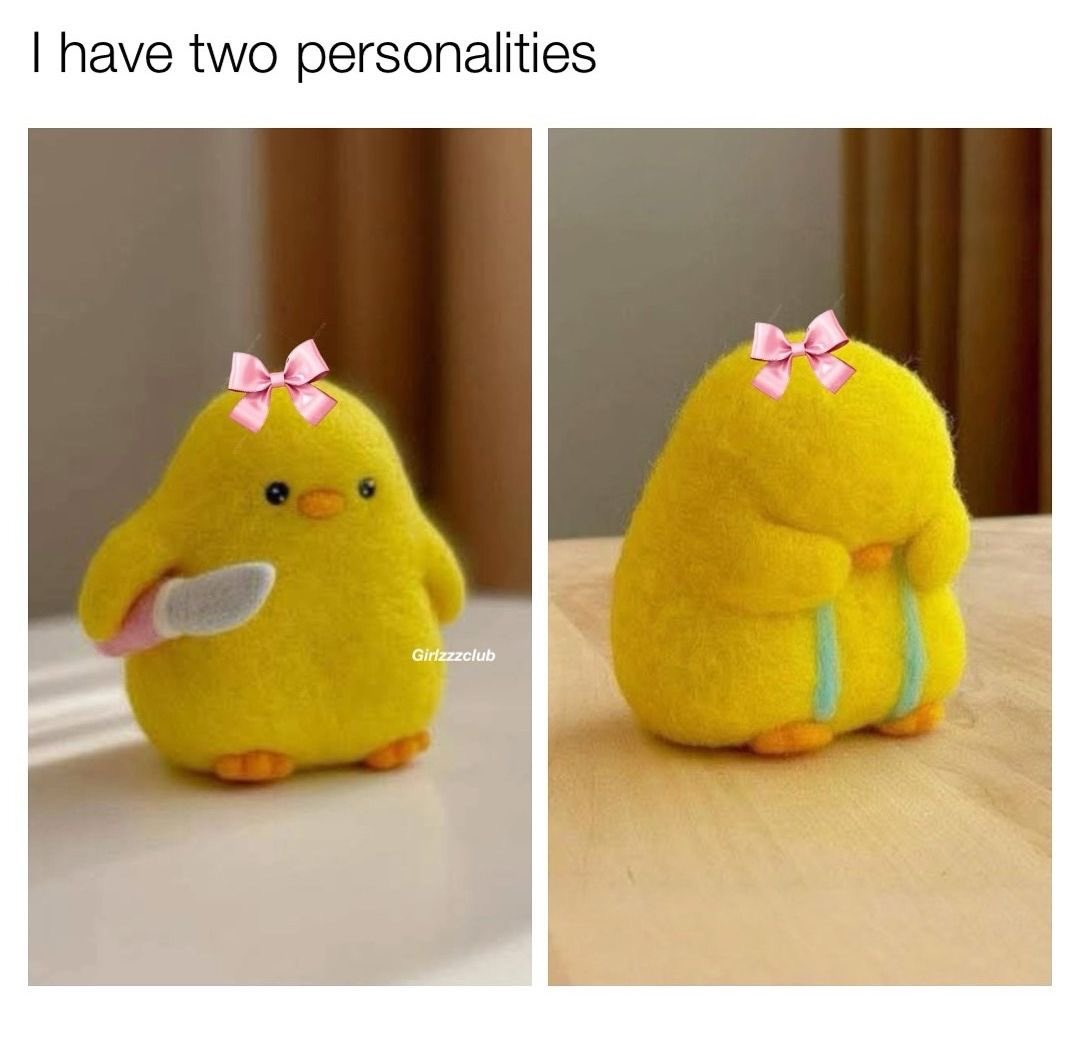 delive (@delivpr) on Twitter photo 