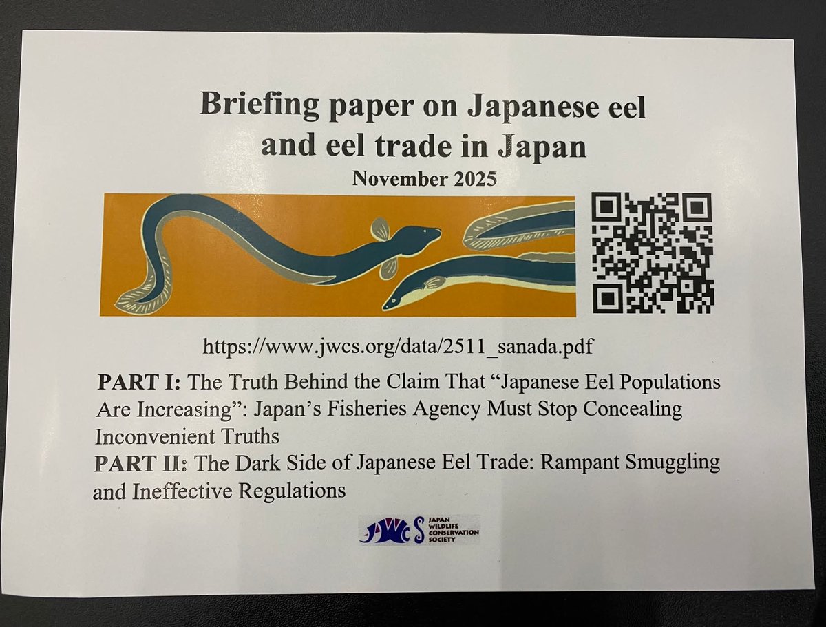 JWCSJWCS's tweet image. #ウナギ 属の附属書Ⅱ掲載提案について、11月27日のワシントン条約締約国会議の委員会Ⅰで、８つのＮＧＯを代表してJWCSが用意していた意見です(添付画像)

この意見の詳細は下記をご覧ください📝
jwcs.org/data/2511_sana…
chuo-u.ac.jp/research/news/…