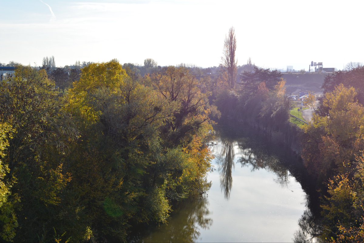 subutex4's tweet image. Bonjour, 
7 Novembre MMXXV 
16h