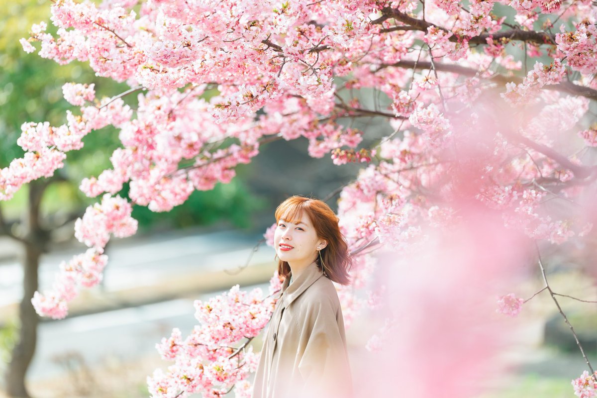 mapcamera's tweet image. いつもご愛顧ありがとうございます。

【おすすめ新品情報📷】
【WEB限定/SDXCカード 128GBプレゼント対象】
【WEB限定/先取・下取交換なら買取見積額最大15%UP対象】

「#Canon (#キヤノン) #EOS R6 Mark II RF24-105mm F4Lレンズキット」
mapcamera.com/item/454929220……