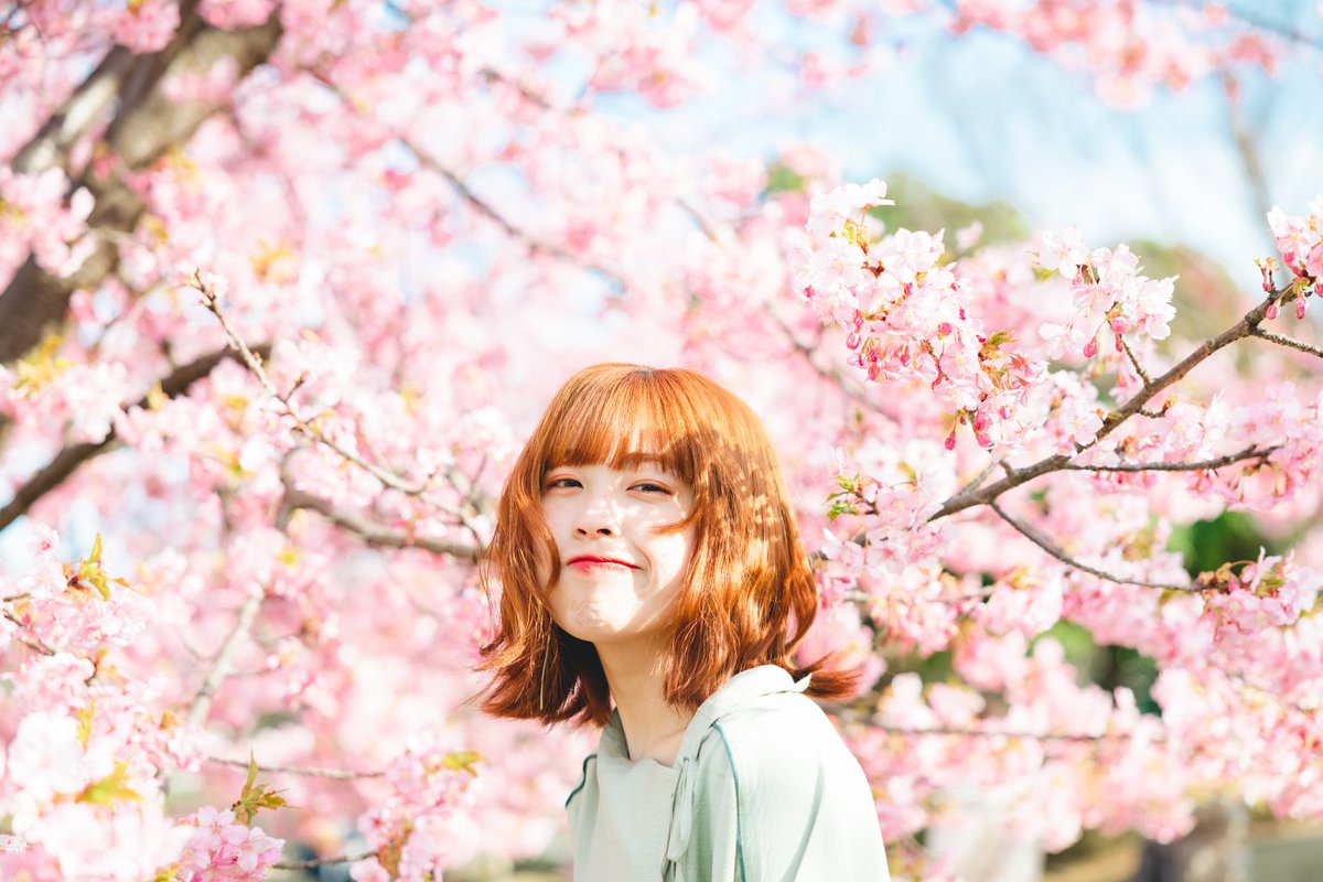 mapcamera's tweet image. いつもご愛顧ありがとうございます。

【おすすめ新品情報📷】
【WEB限定/SDXCカード 128GBプレゼント対象】
【WEB限定/先取・下取交換なら買取見積額最大15%UP対象】

「#Canon (#キヤノン) #EOS R6 Mark II RF24-105mm F4Lレンズキット」
mapcamera.com/item/454929220……