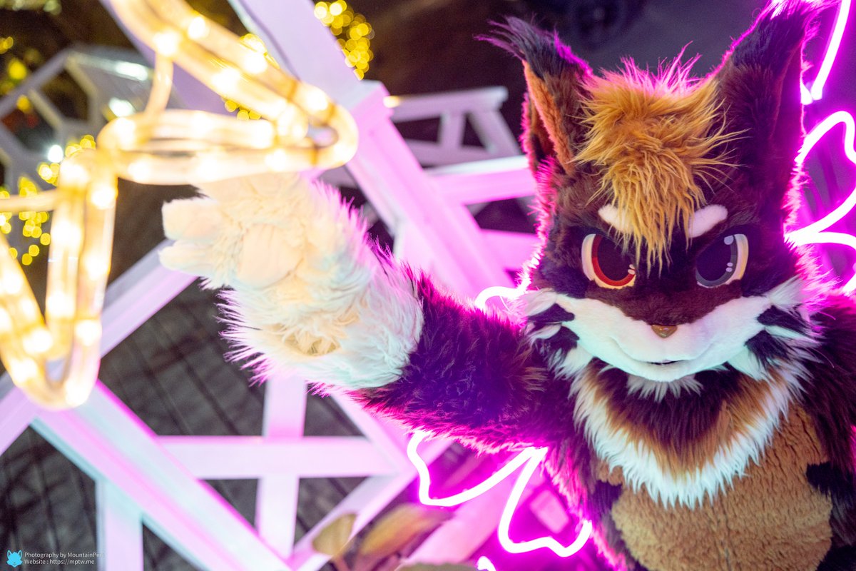 君は、僕が追いかけているあの星なの？
Are you the star I’ve been reaching for?

✂️ 黑雪工坊kuroyuki 
📷 <a href="/MountainPineTW/">山松 MountainPine 🦊🐿️ ⏭️ Loading...</a> 

#FursuitFriday #Taiwan #Furry #MaineCoon #黑雪工坊 #Kemocon18