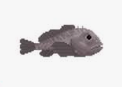 TAPEpiao's tweet photo. Blobfish
#Roblox #Blender #RobloxDev #RobloxDevs #rbxdev https://t.co/u4OS8GM4xJ
