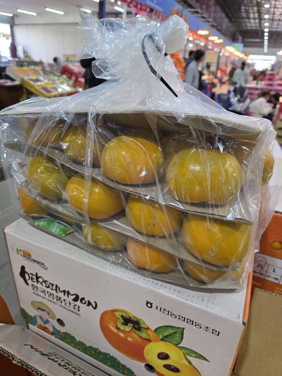Pinkky_chey's tweet photo. #พลับเกาหลีแท้ ตู้แรกเข้าจ้า

รสชาติ หวาน หอม กรอบ อร่อยค่าา

🚩กล่อง  10kg. รวม ราคา 2,990 บาท ส่งฟรี‼️

💌สนใจสั่งซื้อได้ที่ https://t.co/RlOh6eHout หรือ @694gitds

Line:piglett_pink หรือ โทร 064-716-6651

🚚❄️กทม นนทบุรี ปทุมธานี สมุทรปราการ 
ส่งฟรีแช่เย็นรับสินค้า https://t.co/HxIGlc7X2q