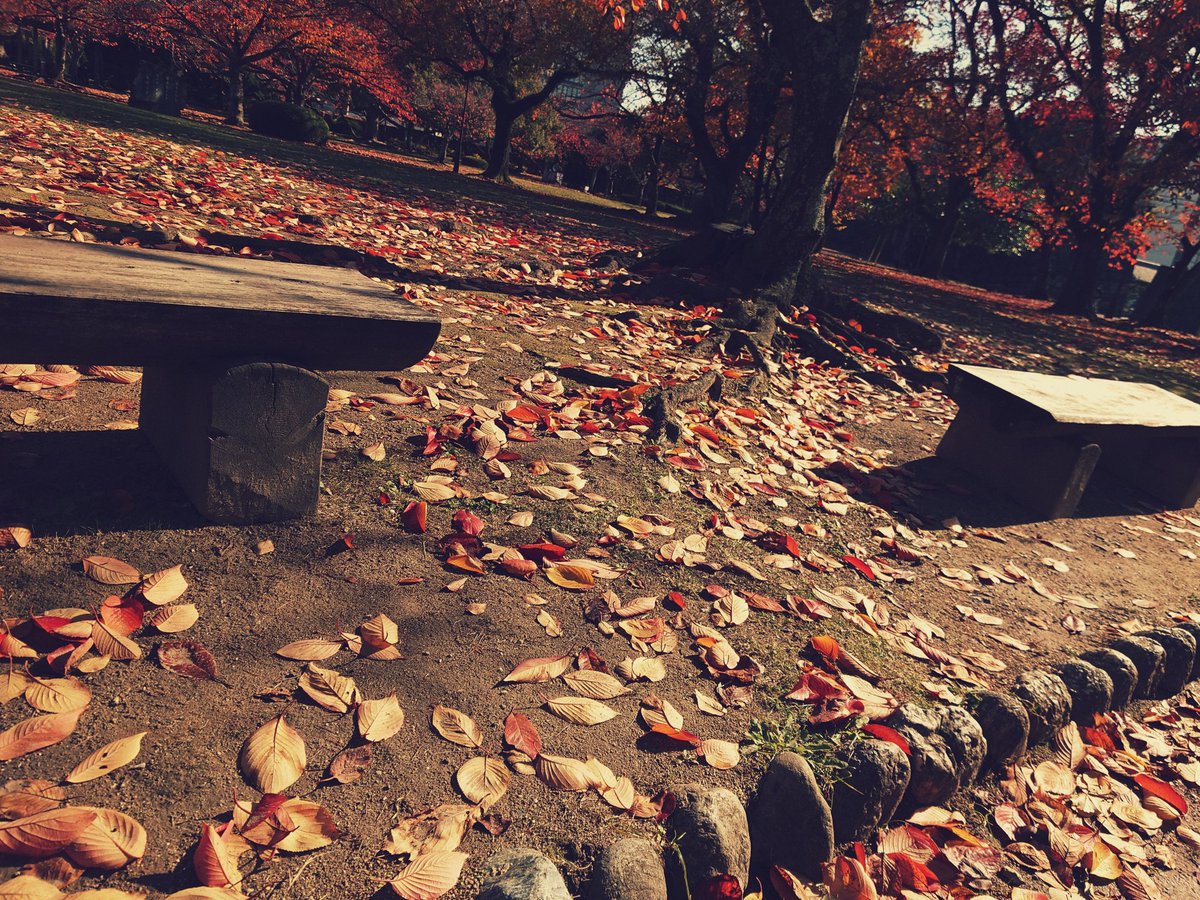 秋、徳島城公園
#streetphotography #xperia #xperiaproi #徳島 #スナップ写真