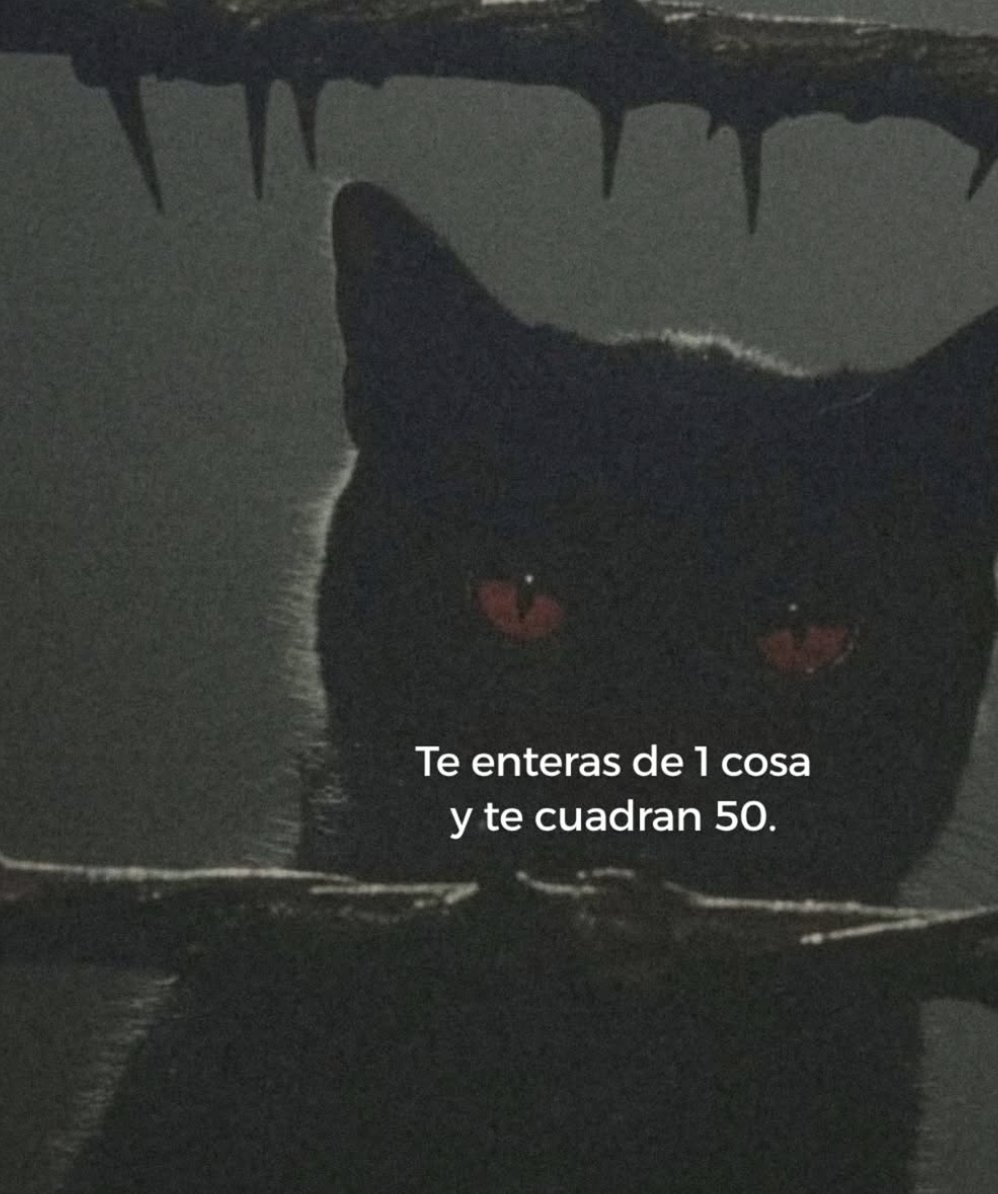 vibes (@vibesfyp) on Twitter photo 