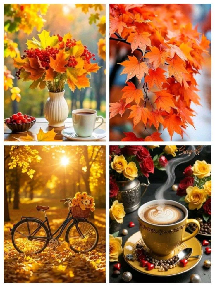 JosetteJ1's tweet image. A tous mes abonnés d&apos;ici et d&apos;ailleurs, que cette nouvelle journée apporte à chacun, #réconfort #Joie #douceur et #bienveillance 😘 
Ce matin 8° 🌧 maxi 13° ⛅      ☕☕☕☕☕☕☕
#Automne 🍁🍂
#Ligue_des_optimistes😃