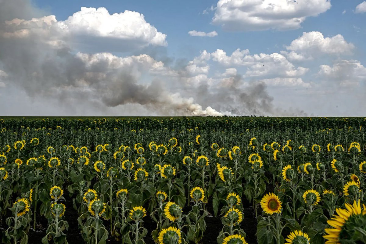 2021m2021's tweet image. Revija Time je objavila seznam 100 najpomembnejših fotografij leta 2025 – šest jih je iz Ukrajine.
Dim se dviga nad sončničnimi polji v Zaporožju po ruskem napadu 8. julija (Dmytro Smolienko / Ukrinform).⤵️