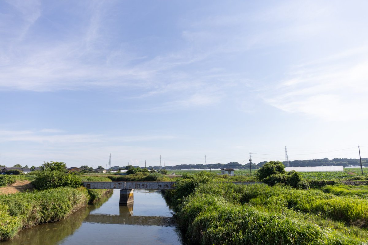 mapcamera's tweet image. いつもご愛顧ありがとうございます。

【おすすめ新品情報📷】
【WEB限定/SDXCカード 128GBプレゼント対象】
【WEB限定/先取・下取交換なら買取見積額最大15%UP対象】

「#Canon (#キヤノン) #EOS R6 Mark II ボディ」
mapcamera.com/item/454929220…

R6markⅢが発売されてもなお劣らない人気…