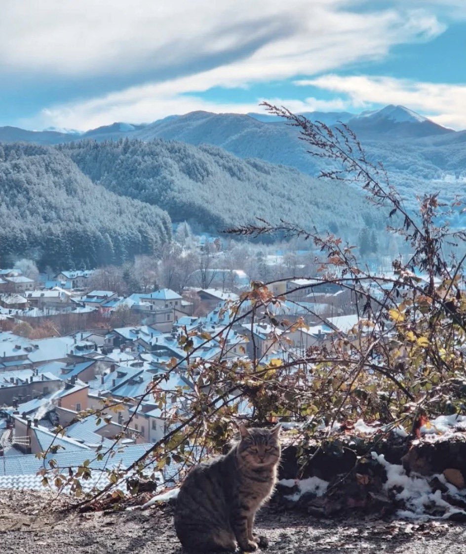 Lucos 🤍💙 tweet media