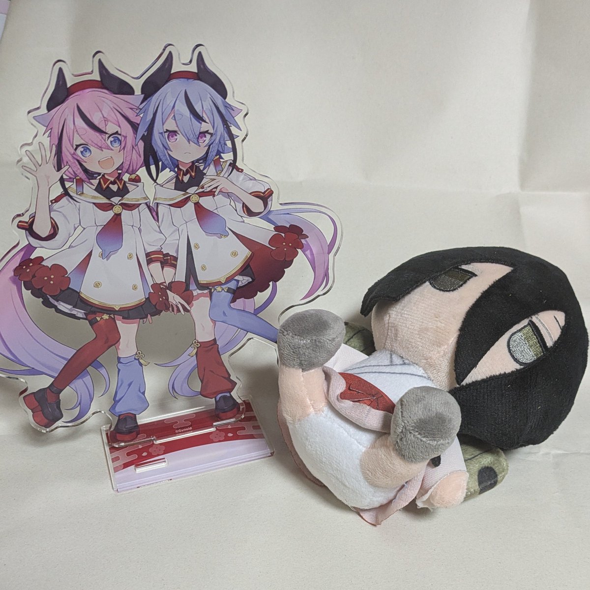 ヒメミコアクスタ、大きくないですか！？