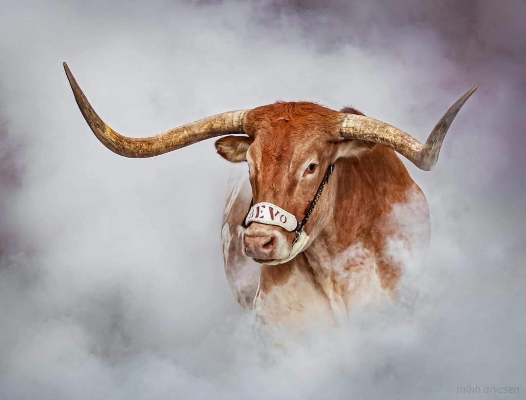 PopsTheVoice (@arnodo64) on Twitter photo 