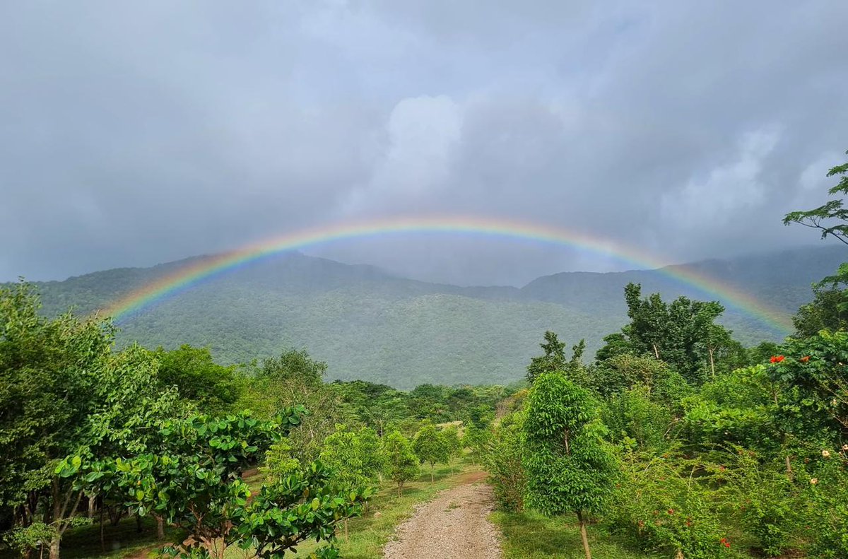 ishafoundation's tweet image. A majestic arc of color spans the lush mountain peaks, a radiant rainbow unfurling its prismatic beauty across the vast, untamed landscape.
