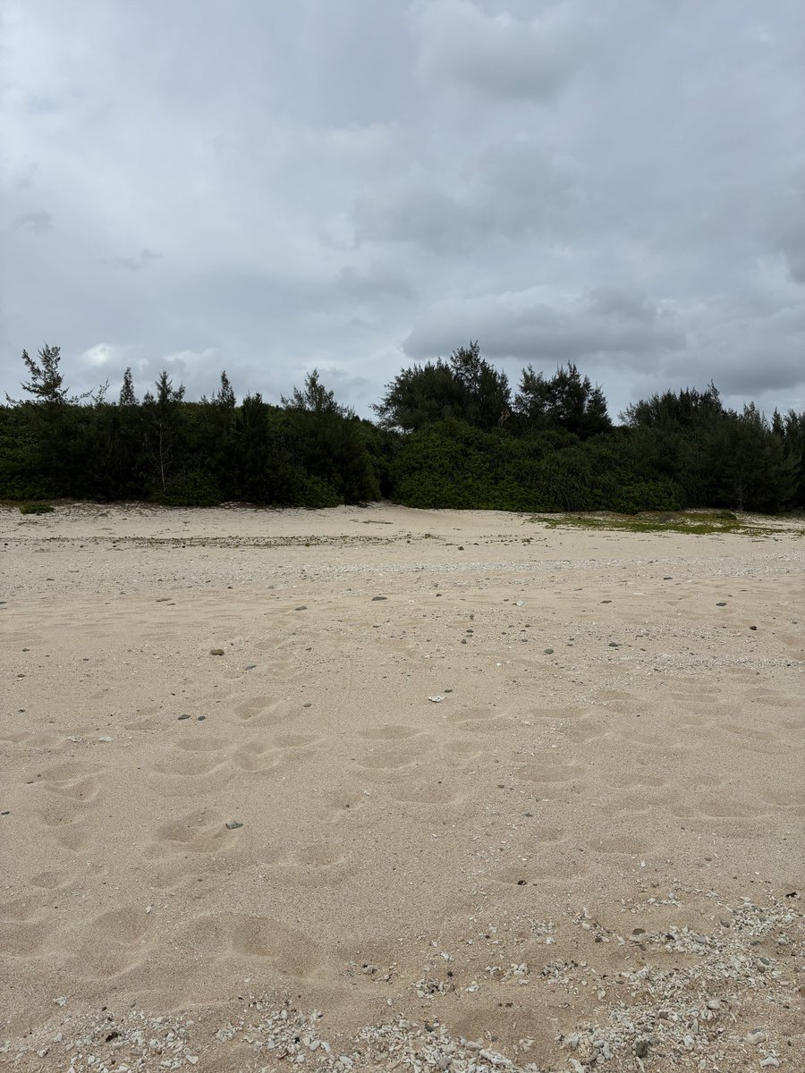 砂浜は膝にきますね！！