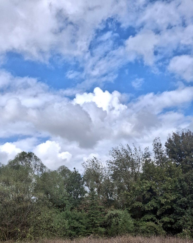 AVANASBilal's tweet image. Huzur içinde olun dilek ve dualarınız kabul olsun  gününüz hayırlara vesile  olsun güzellikler eşlik etsin gününe 
Günaydın olsun
🦋🧚‍♂️🐞
#cuma 
#Günaydın 
#iznik