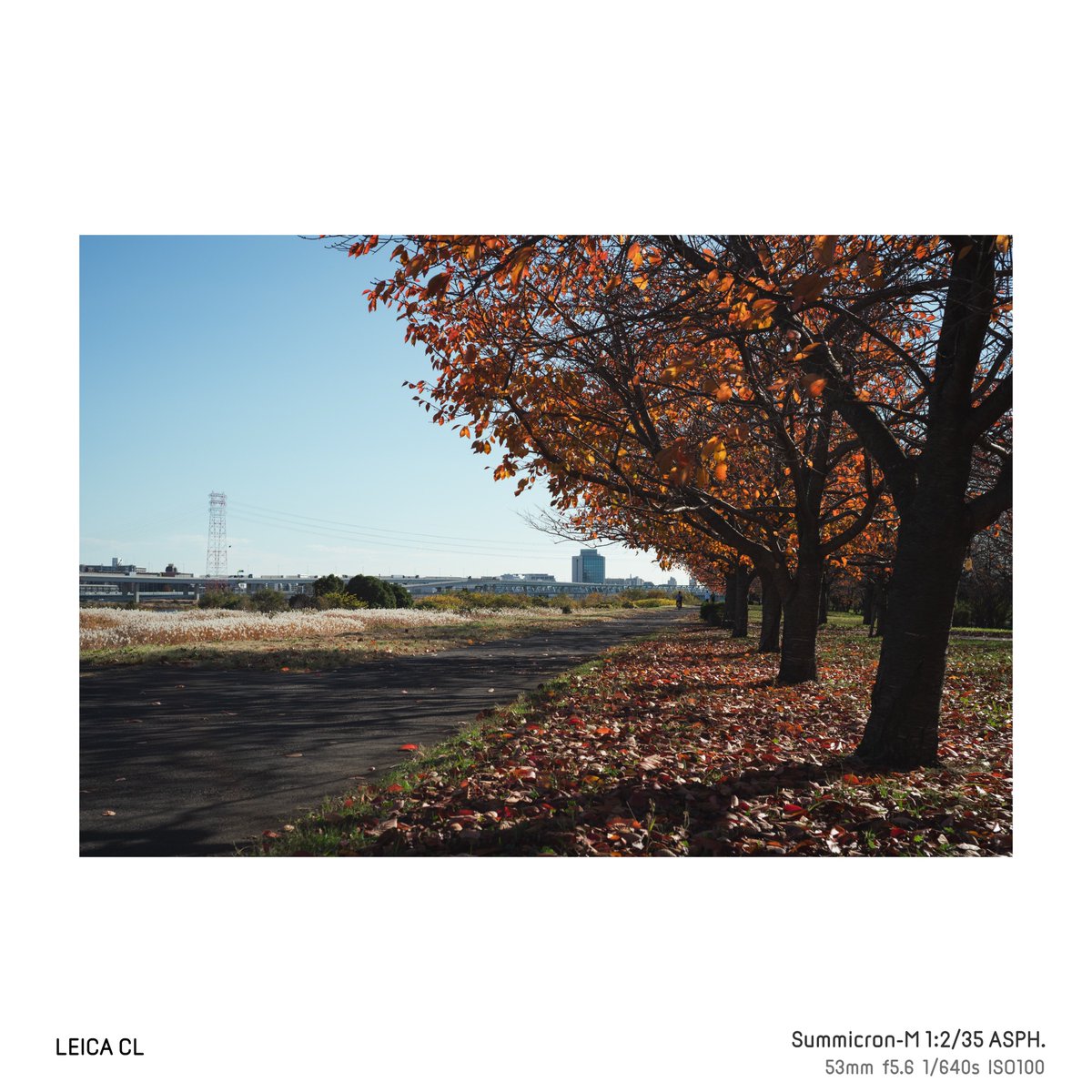 けーいち (@9SQ) / Posts / X