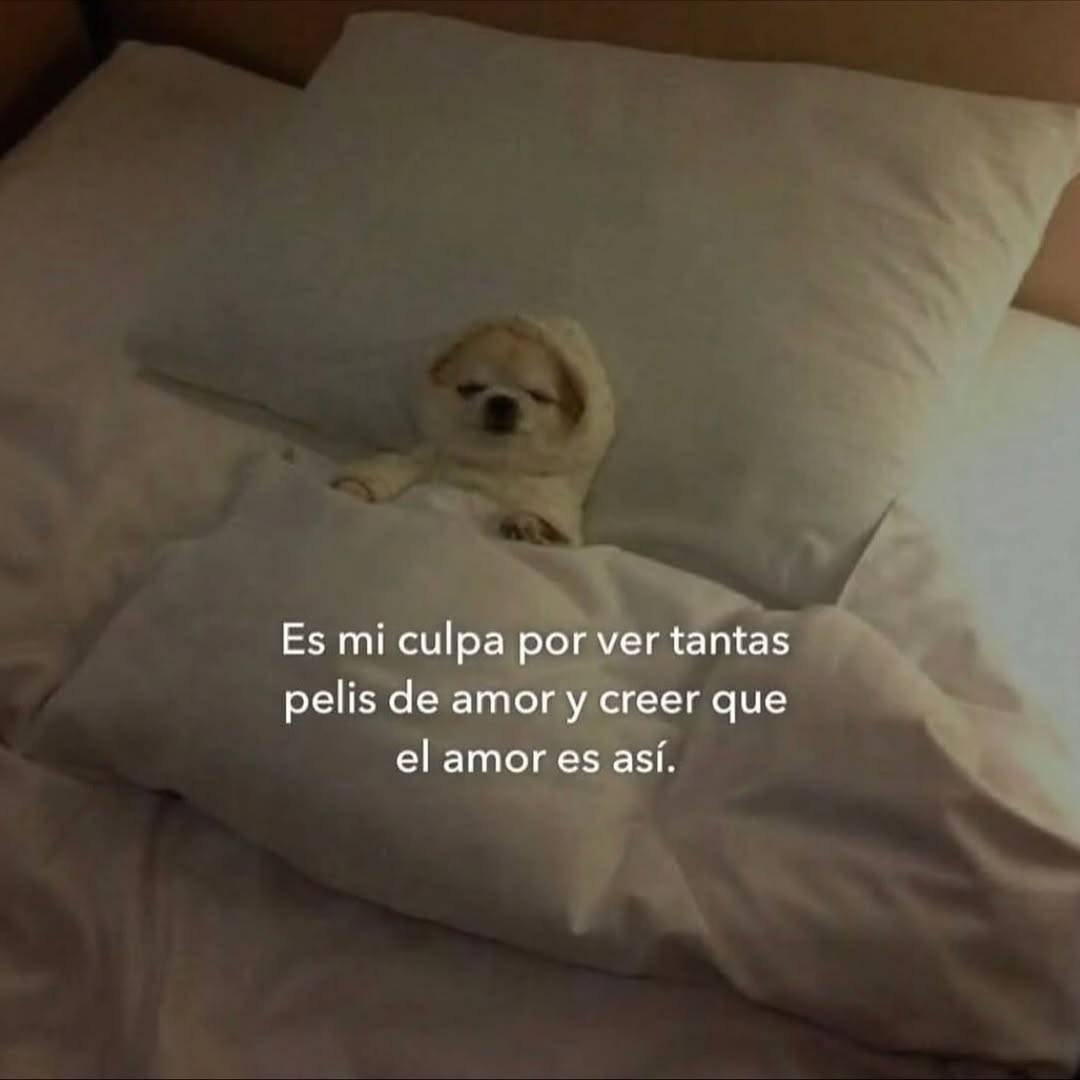 kari_ok6's tweet image. 