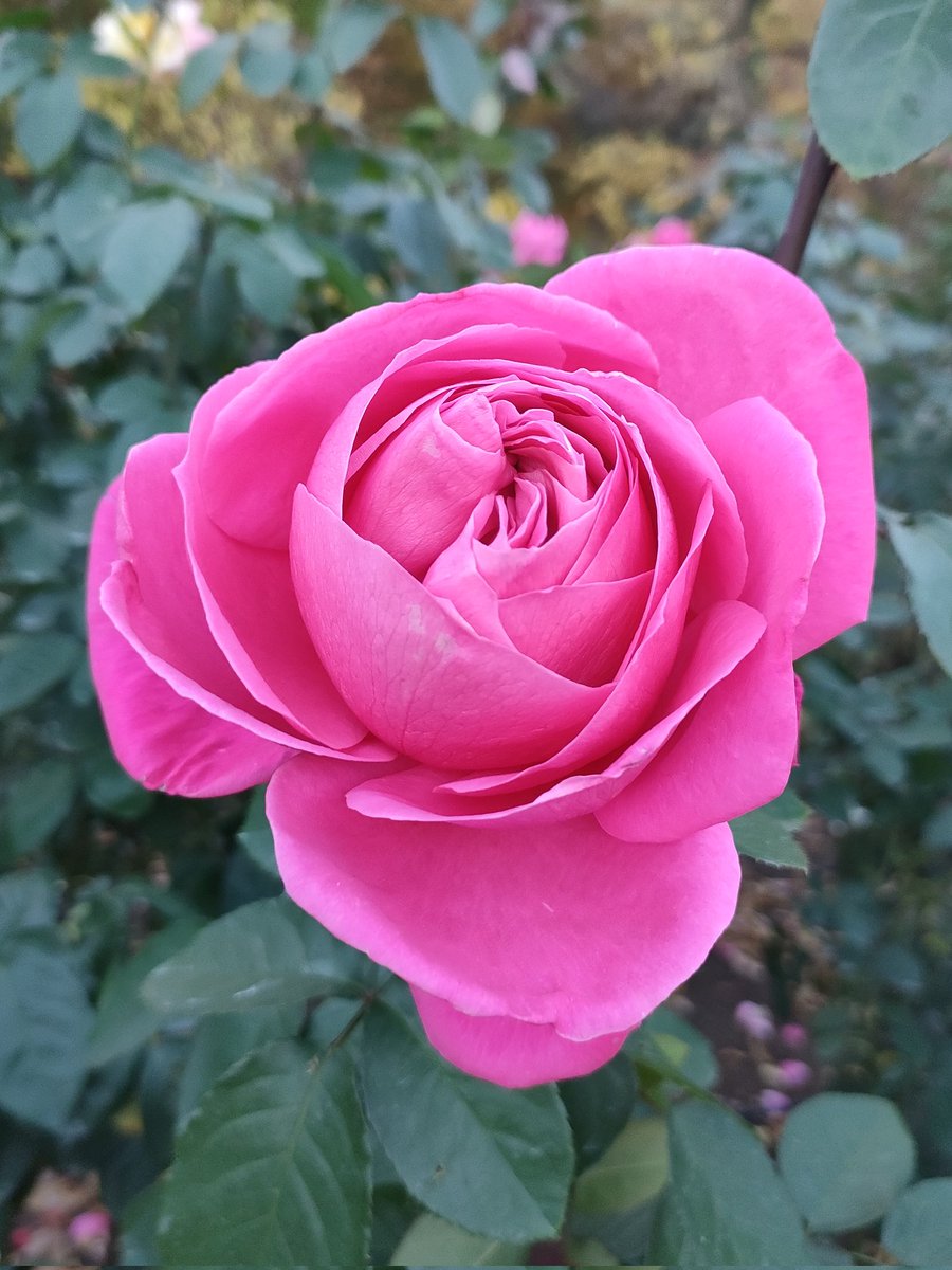 Nanako⭐︎在庫処分SALE⭐︎ dada2 とらこ (@dada2torako) / Posts / X