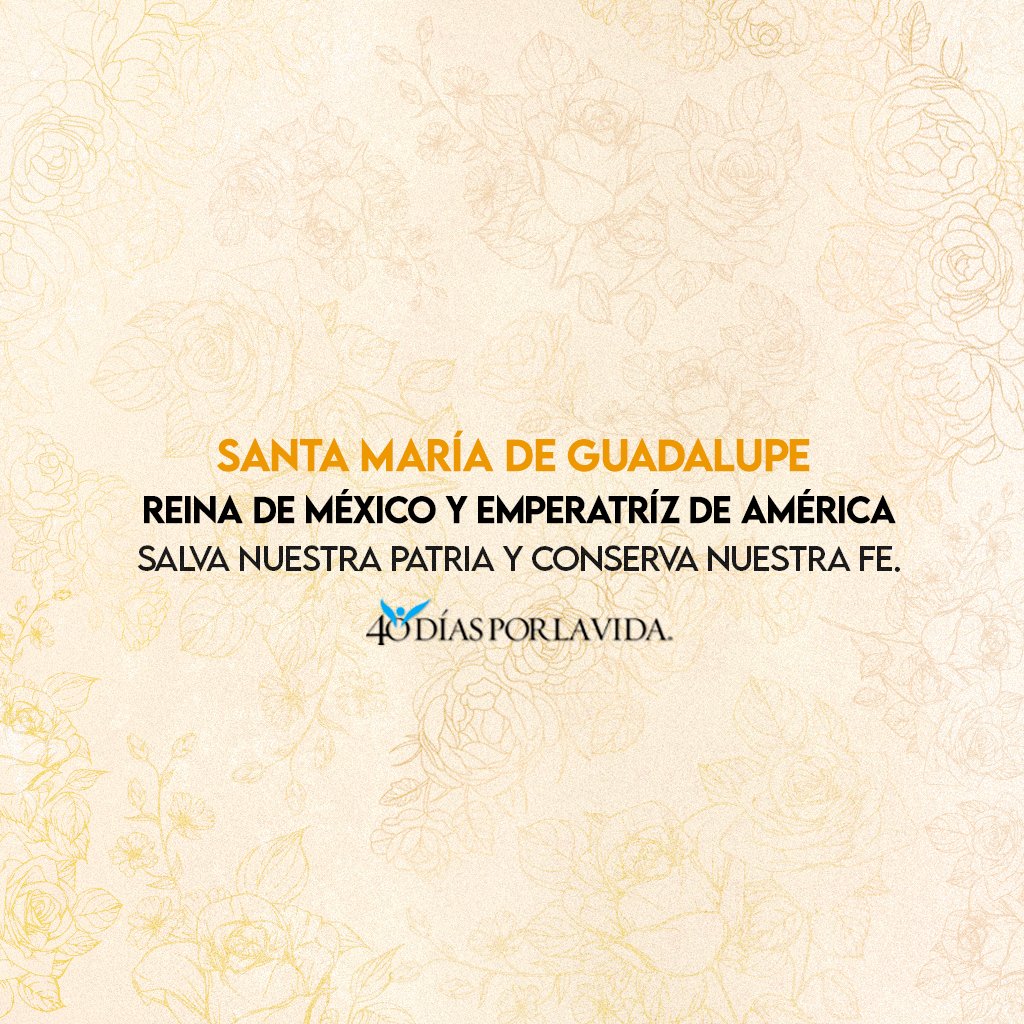 40DXLV's tweet image. Santa Virgen de Guadalupe, madre del verdadero Dios por quien se vive, acompáñanos en nuestro caminar diario. Protege a nuestras familias y guía nuestros corazones hacia la paz y la justicia. Amén. 🙏💛