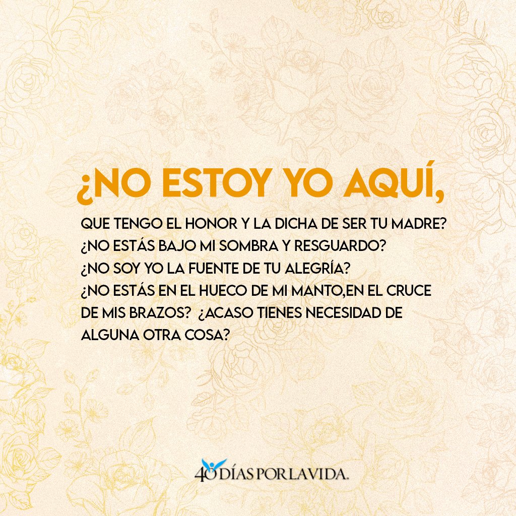 40DXLV's tweet image. Santa Virgen de Guadalupe, madre del verdadero Dios por quien se vive, acompáñanos en nuestro caminar diario. Protege a nuestras familias y guía nuestros corazones hacia la paz y la justicia. Amén. 🙏💛