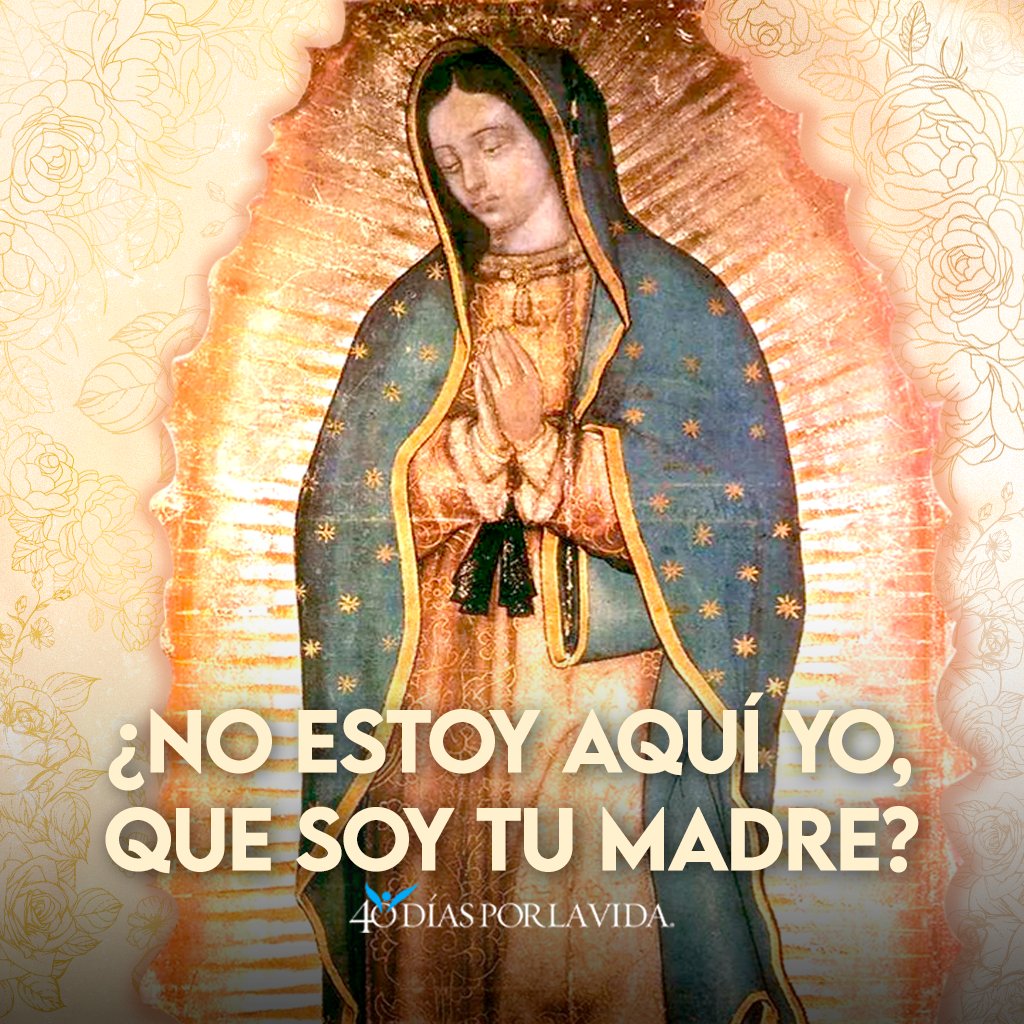 40DXLV's tweet image. Santa Virgen de Guadalupe, madre del verdadero Dios por quien se vive, acompáñanos en nuestro caminar diario. Protege a nuestras familias y guía nuestros corazones hacia la paz y la justicia. Amén. 🙏💛