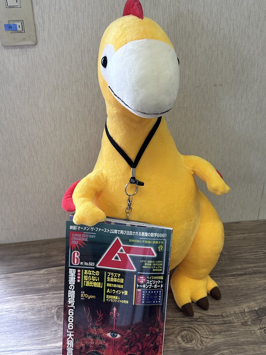 こっちは以前にワンパブさんから頂いたムー📖🪬