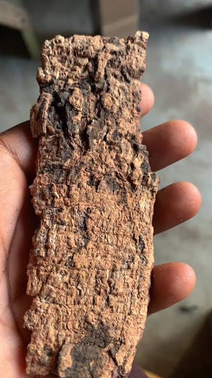 OlawaleOlanir12's tweet image. Atude ( bondage breaker )

ATA ijosi pound and put somewhere 

Egbo tude pound and put somewhere 

Epo obo pound and put somewhere 

Iyo Isebe didi ( get measured salt not packaged ones )

Get palm oil , put it in one small water in a bowl 

Put small black soap on the grinder…