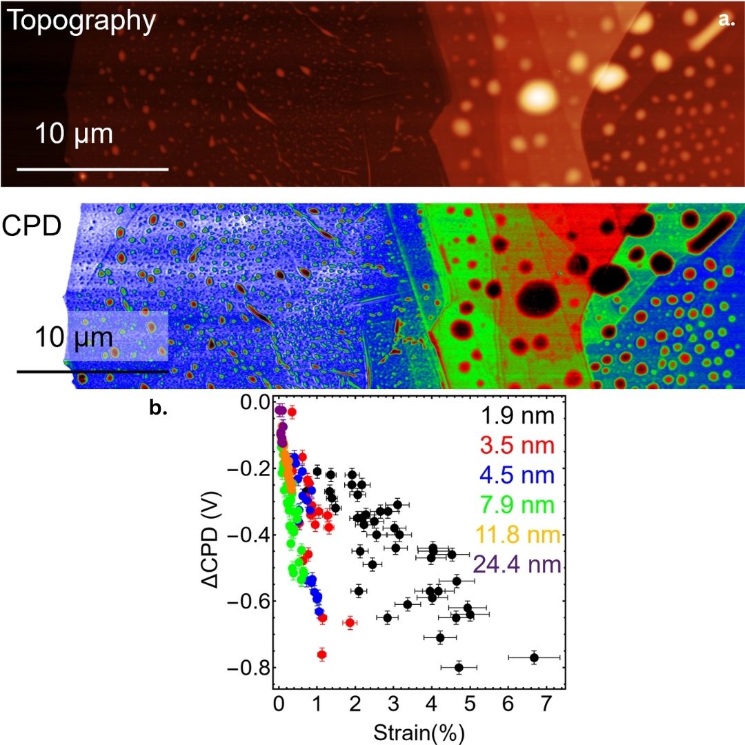 [𝗘𝗹𝗲𝗰𝘁𝗿𝗶𝗳𝗶𝗲𝗱 𝗯𝘆 𝗔𝗙𝗠: 𝗖𝗼𝗿𝗿𝗲𝗹𝗮𝘁𝗶𝘃𝗲 𝗪𝗲𝗲𝗸 / 𝗘𝗽𝗶𝘀𝗼𝗱𝗲 𝟱]
Measuring and manipulating strain in 𝗹𝗮𝘆𝗲𝗿𝗲𝗱 𝘀𝗲𝗺𝗶𝗰𝗼𝗻𝗱𝘂𝗰𝘁𝗼𝗿𝘀 is important for harnessing their properties for applications such as 𝗲𝗹𝗲𝗰𝘁𝗿𝗼𝗻𝗶𝗰𝘀, 𝗹𝗶𝗴𝗵𝘁