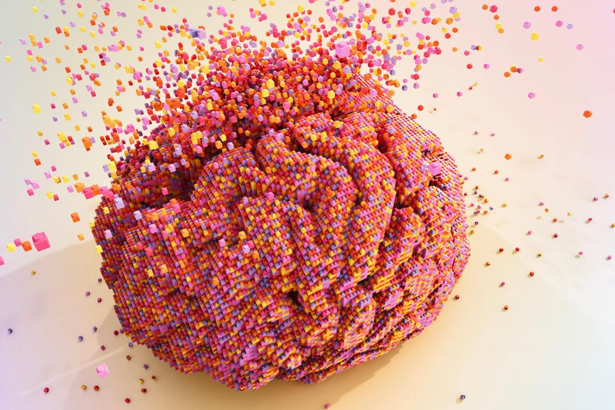 fadouce's tweet image. Jusqu’à 30 fois + de plastique retrouvé dans le cerveau 🧠 
 Accumulation encore + importante chez les personnes décédées avec diagnostic de démence
En 2016,  la production 🌎 frôlait 350 millions de Tonnes
via @Zehub  buff.ly/tQ74tYU