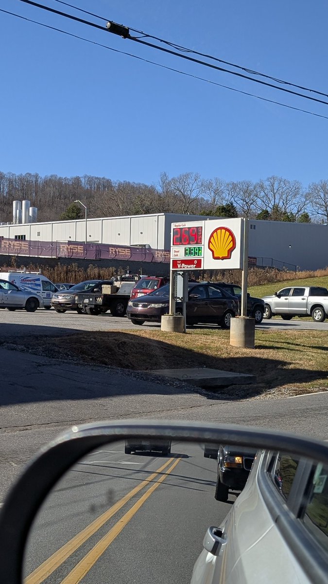 stef 🫴 tweet media