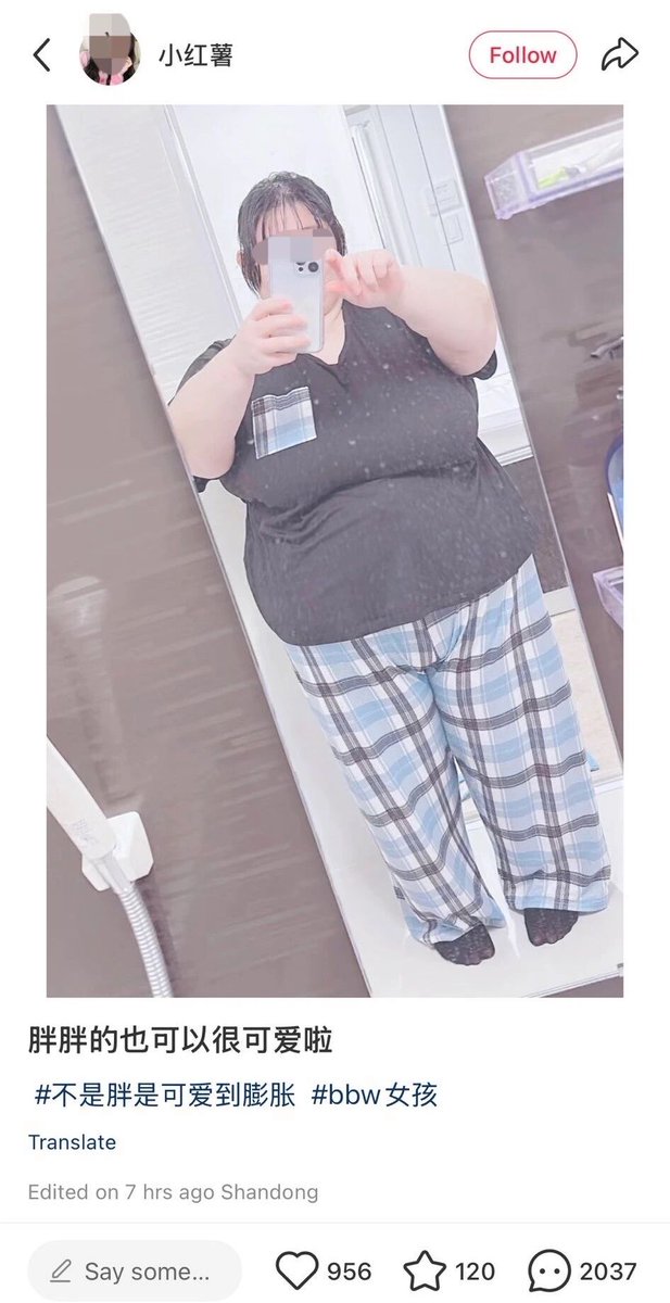 传奇出生鸟鲁鲁（浮木克星） tweet media